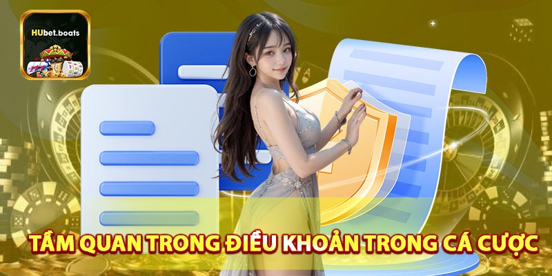 Điều khoản sử dụng quan trọng như nào thế nào?